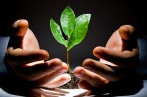 قدرت شگفت انگیز بخشش در «صبح صبا» قدرت شگفت انگیز بخشش در «صبح صبا»