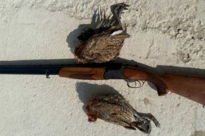 شکار غیر مجاز زیر ذره بین رادیو صبا شکار غیر مجاز زیر ذره بین رادیو صبا