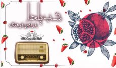 تدارک رادیو فرهنگ برای شب یلدا