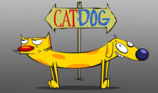 خاطراتی از دوبله کارتون «گربه سگ»