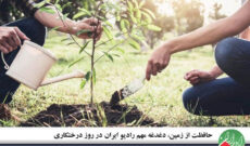حافظت از زمین، دغدغه مهم رادیو ایران در روز درختکاری