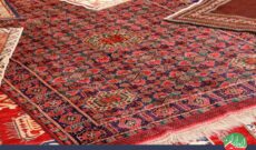 «نمودار» تولید و صادرات فرش دستباف در رادیو ایران