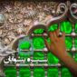 بررسی سیره امام هادی علیه السلام در رادیو معارف