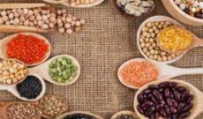 پروتئین گیاهی در «غذا سلامت زندگی» رادیو سلامت