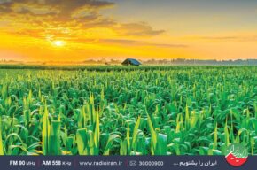 تازه‌های صنعت کشاورزی در «سبزینه» رادیو ایران