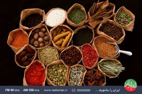 چالش‌های طب سنتی در رادیو ایران