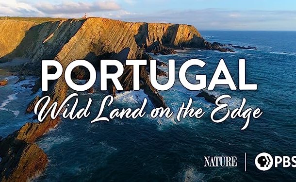 مستند «سرزمینی بکر و پرهیاهو» دوبله شد