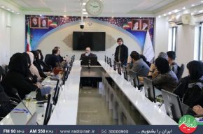 سیزدهمین كارگاه آموزشی ایرانیاران رادیو ایران در «كرمان» برگزار شد
