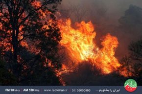 بررسی آتش سوزی های جنگل ها در «ایران امروز» رادیو ایران