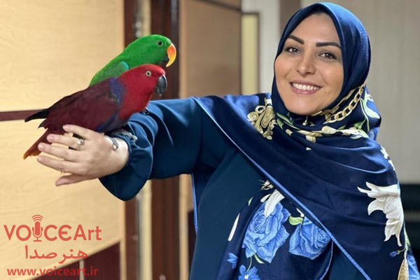 المیرا شریفی مقدم : رود دره فرحزاد، جاده چالوس تهران است المیرا شریفی مقدم : رود دره فرحزاد، جاده چالوس تهران است