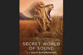 «دنیای اسرارآمیز صدا با دیوید اتنبرو» به مدیریت نصراله مدقالچی دوبله شد «دنیای اسرارآمیز صدا با دیوید اتنبرو» به مدیریت نصراله مدقالچی دوبله شد