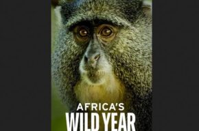 «سال خشن آفریقا» با گویندگی ۳ نفر دوبله شد