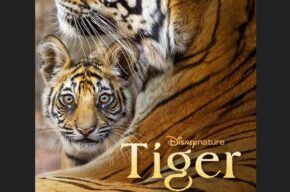 «ببر» با گویندگی سیما رستگاران دوبله شد «ببر» با گویندگی سیما رستگاران دوبله شد