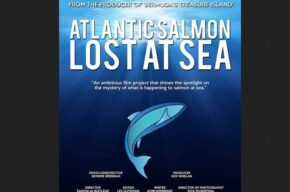 «آزاد ماهی اطلس، گمشده ای در دریا» با گویندگی ۱۸ نفر دوبله شد