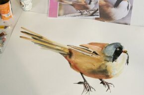 «نقاشی پرندگان» با گویندگی ۱۴ نفر دوبله شد «نقاشی پرندگان» با گویندگی ۱۴ نفر دوبله شد