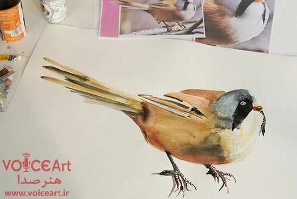 «نقاشی پرندگان» با گویندگی ۱۴ نفر دوبله شد «نقاشی پرندگان» با گویندگی ۱۴ نفر دوبله شد